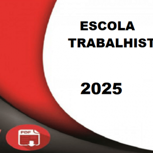 RETA FINAL 60 DIAS - TRT 2 SP - TÉCNICO JUDICIÁRIO - ÁREA ADMINISTRATIVA (Escola Trabalhista 2025)